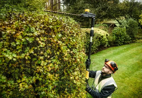 Nożyce do żywopłotu na wysięgniku DeWalt DCMPH566N-XJ