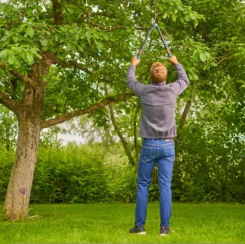 Sekator do gałęzi GARDENA TeleCut Pro S 12040-20