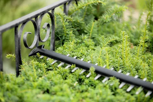 Триммер для живой изгороди Bosch UniversalHedgeCut 18V-50