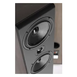 Kolumny Pylon Audio Opal 23 Orzech 2szt.