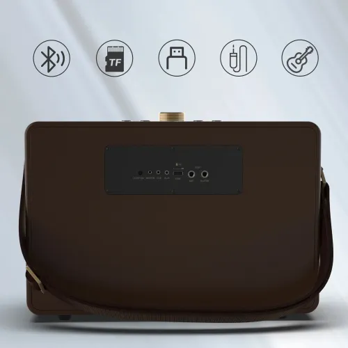 Głośnik mobilny W-KING K6L + 2 mikrofony Brązowy