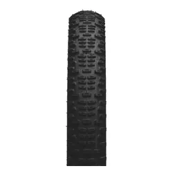 Lastikler Schwalbe Racing Ralph Evolution HS490