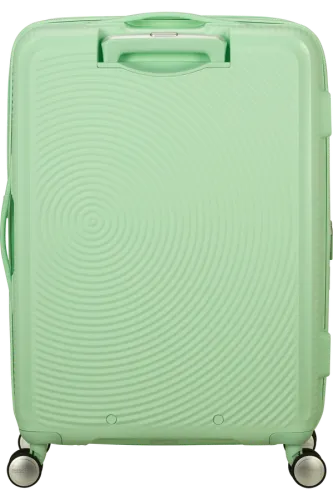 SoundBox 67cm Medium Check-in - Pastel Green