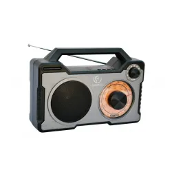 Głośnik Bluetooth Rebeltec RODOS 10W Radio FM Czarno-srebrny