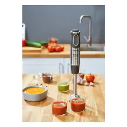 Blender TEFAL HB659838 QuickChef 2w1