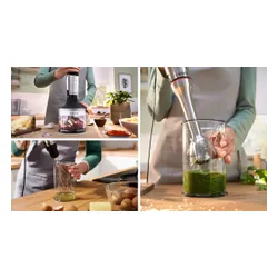 Blender BOSCH ErgoMaster MSM6M831