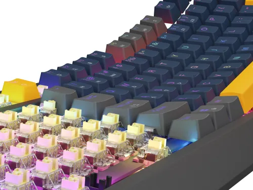 Klawiatura mechaniczna Genesis Thor 230 TKL Naval Blue Positive US RGB Outemu Panda Szary