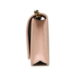 Elisabetta Franchi BS-19A-31e2-v260 Carne 181 bag