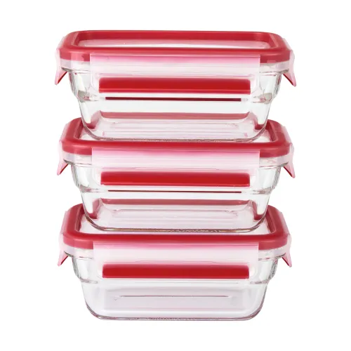 Zestaw pojemników Tefal MasterSeal N1051110 3szt.
