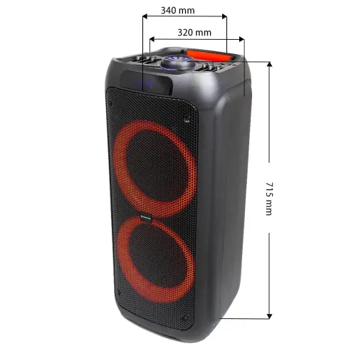 Power Audio Manta SPK5310PRO 120W Bluetooth Radio FM Mikrofon Karaoke Czarny