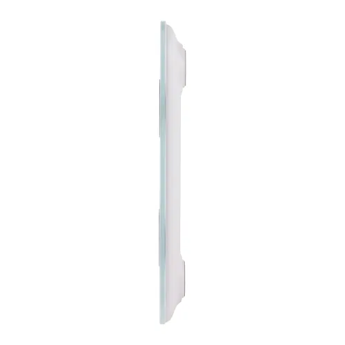 Waga Raven EW016 Z analizą parametrów składu ciała 180kg