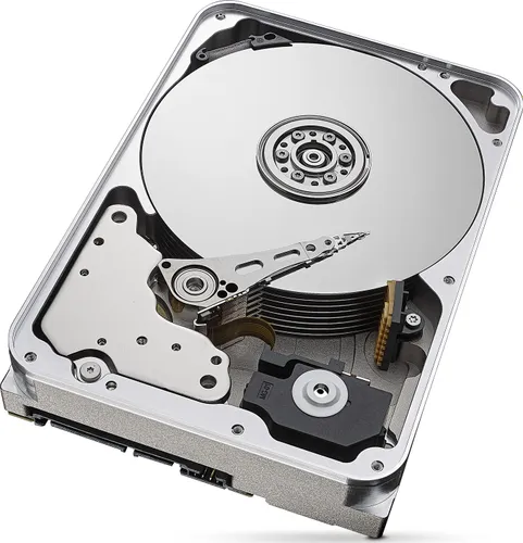 Seagate SkyHawk AI CMR Sunucu Diski 12 TB 3.5 " SATA III (6 Gbps) (ST12000VE0008)