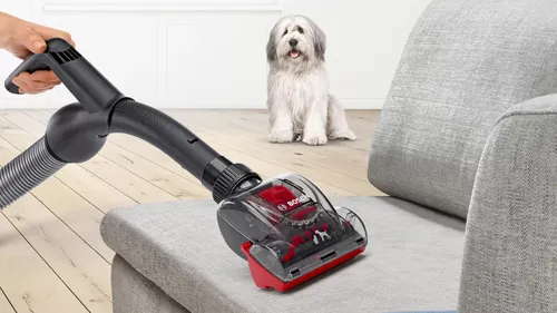 Пылесос Bosch ProAnimal bgb8pet1 650 Вт