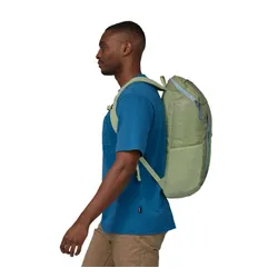 Рюкзак Patagonia Black Hole Pack 25 L-friend green