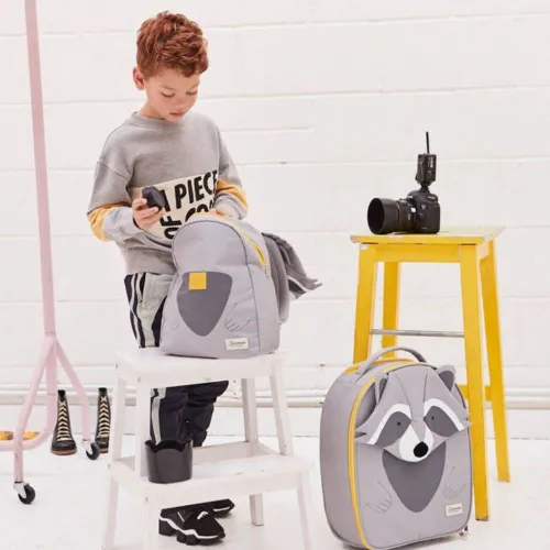 Детский рюкзак Samsonite Happy Sammies ECO s-raccoon Remy