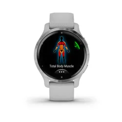 Смарт-часы Garmin Venu 2S серебро