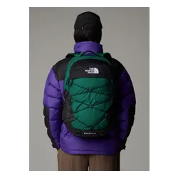 Рюкзак The North Face Borealis daypack - evergreen / tnf black