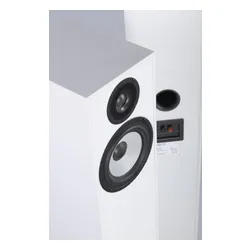 Kolumny Pylon Audio Pearl 20 Biały połysk 2szt.