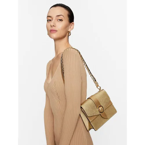 Geanta MICHAEL Michael Kors Greenwich 32f3ggrc5m aur PAL