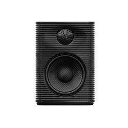 Głośniki FiiO SP3 Czarny