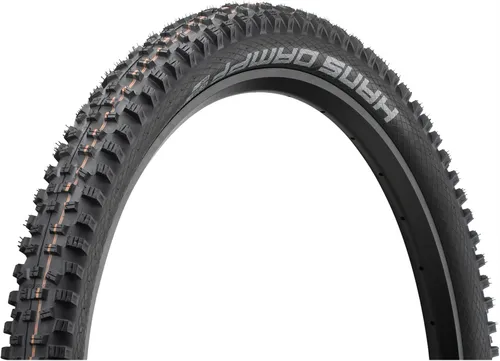 SCHWALBE Hans Dampf Evolution Lastikleri