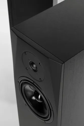 Kolumny Pylon Audio Sapphire 25 Czarny 2szt.