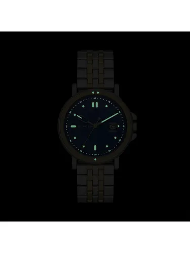 Часы наручные Skagen Signature SKW6921