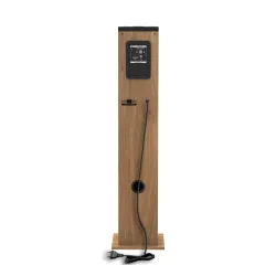 Kolumna Aiwa TSBT-360 Drewno 1szt.