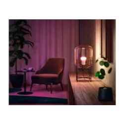 Żarówka LED Philips Hue White and Colour Ambiance E27 2 szt.