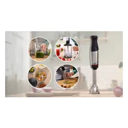 Blender BOSCH ErgoMaster MSM6M652