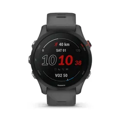 Smartwatch Garmin Forerunner 255 45mm GPS графит