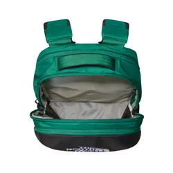 Рюкзак The North Face Borealis daypack - evergreen / tnf black