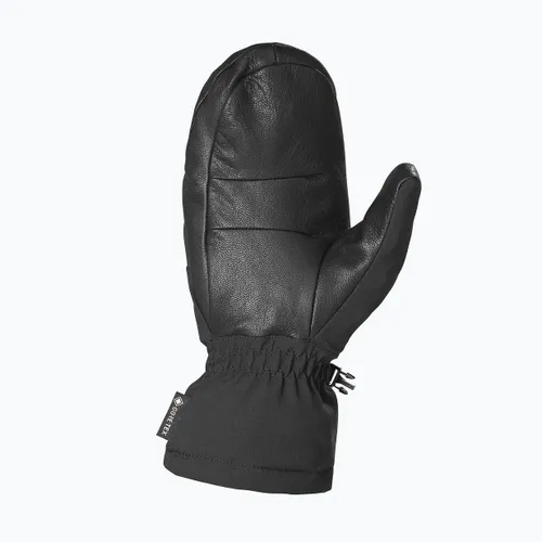 Rękawice narciarskie Salomon Propoeller GTX deep black